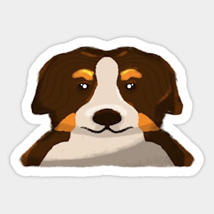 Bornese Mountain Dog Sticker